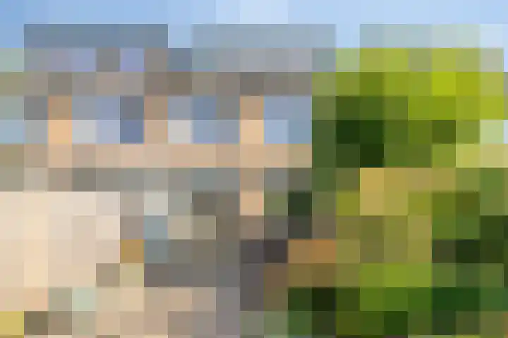Reigerlaan 12 Bergschenhoek thumbnail 15