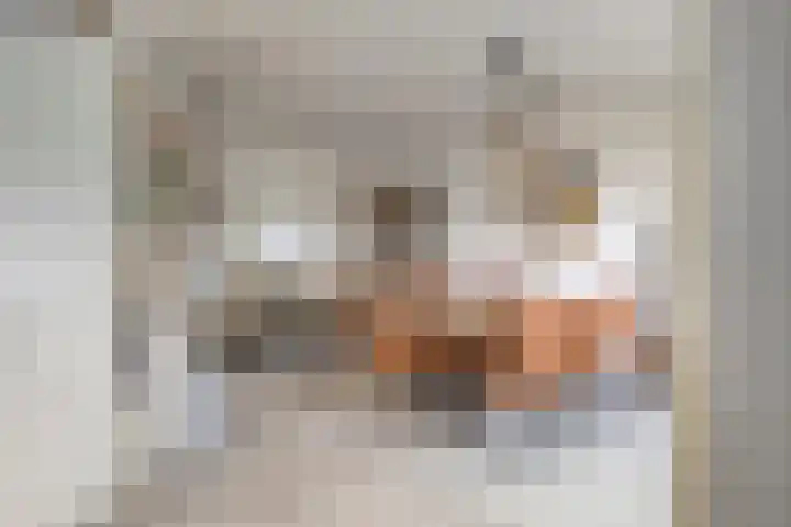 Reigerlaan 12 Bergschenhoek thumbnail 17