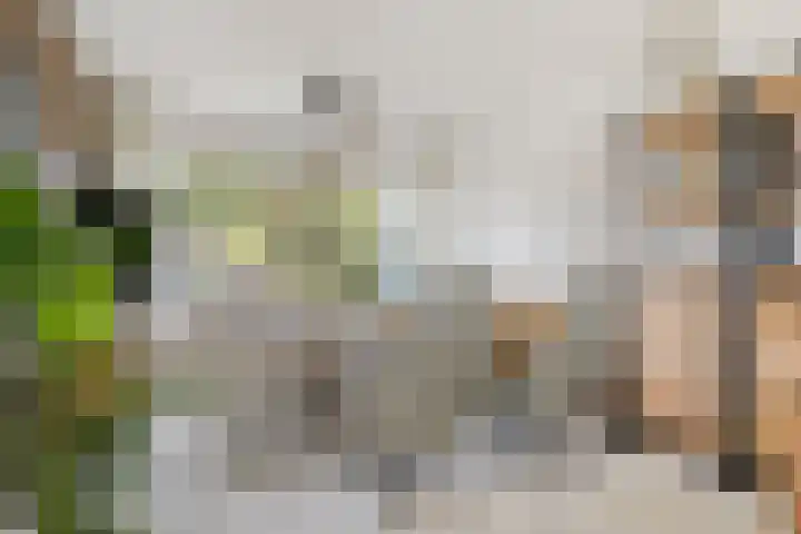 Reigerlaan 12 Bergschenhoek thumbnail 18