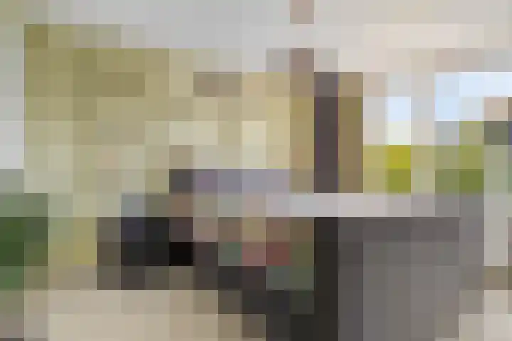 Reigerlaan 12 Bergschenhoek thumbnail 21