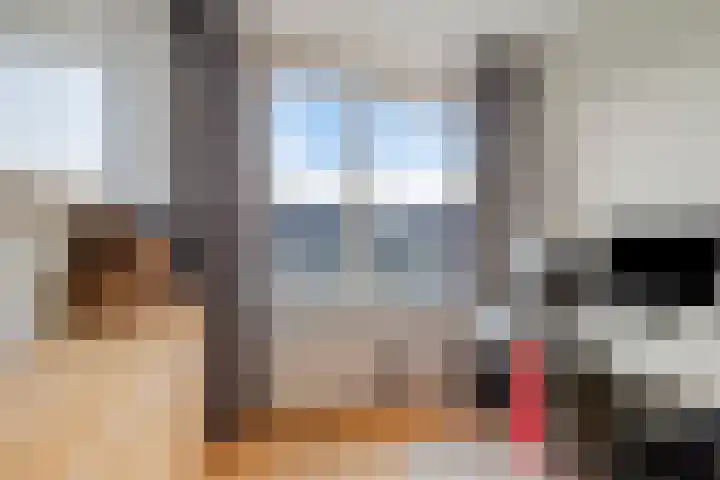Reigerlaan 12 Bergschenhoek thumbnail 23