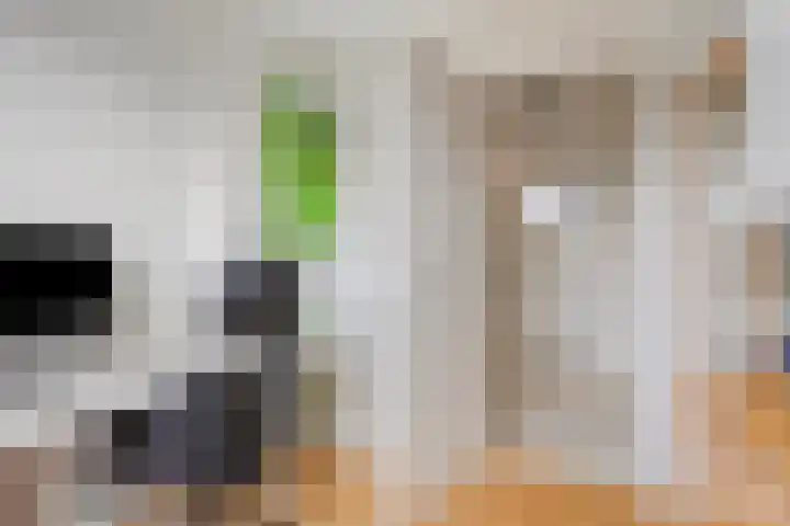Reigerlaan 12 Bergschenhoek thumbnail 24