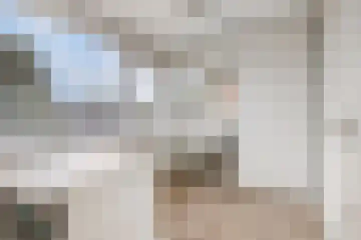 Reigerlaan 12 Bergschenhoek thumbnail 27