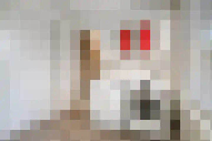 Reigerlaan 12 Bergschenhoek thumbnail 28