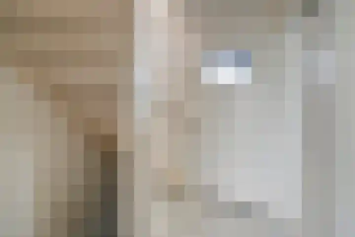 Reigerlaan 12 Bergschenhoek thumbnail 29