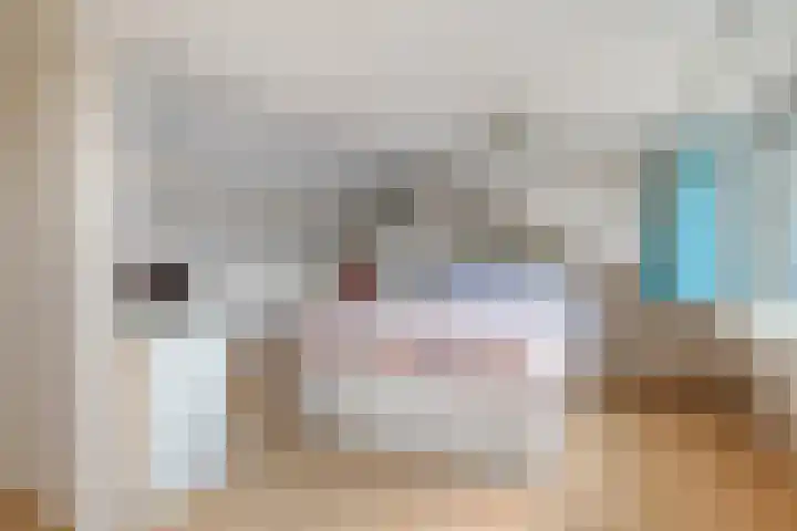 Reigerlaan 12 Bergschenhoek thumbnail 31