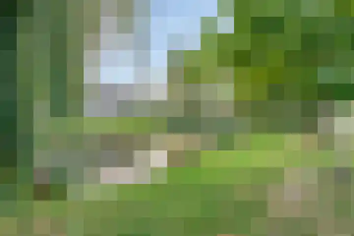 Reigerlaan 12 Bergschenhoek thumbnail 34