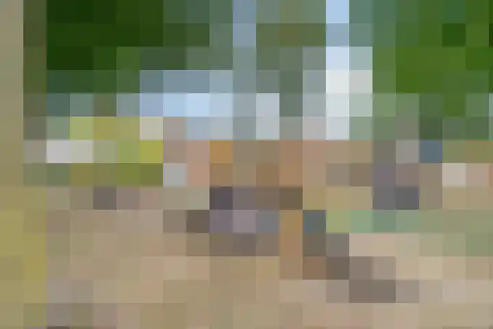 Reigerlaan 12 Bergschenhoek thumbnail 35