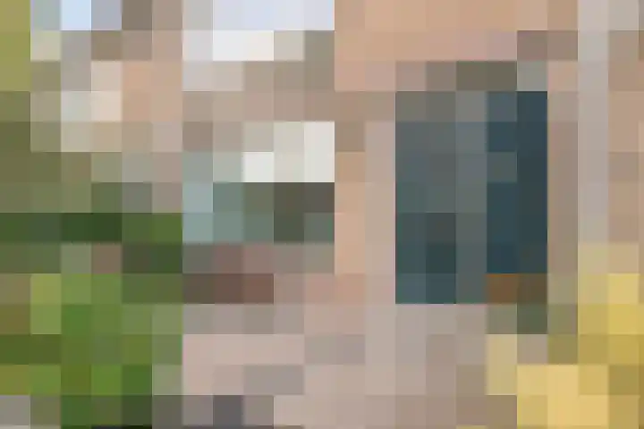 Reigerlaan 12 Bergschenhoek thumbnail 4
