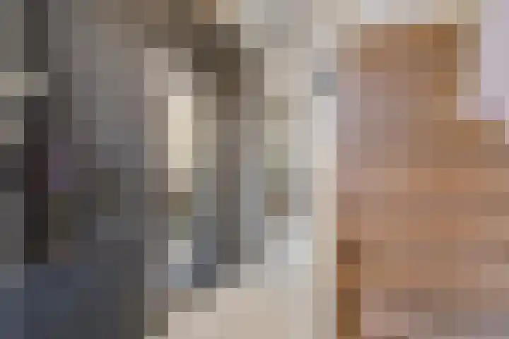 Reigerlaan 12 Bergschenhoek thumbnail 5