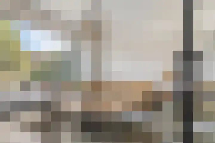 Reigerlaan 12 Bergschenhoek thumbnail 6