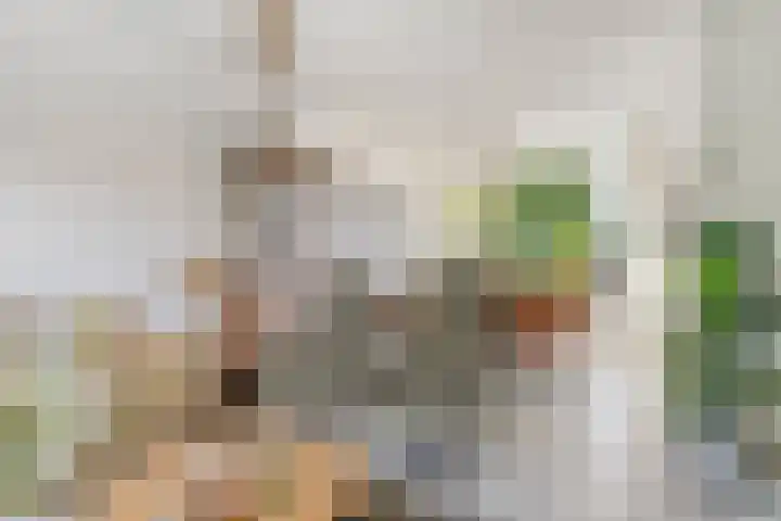 Reigerlaan 12 Bergschenhoek thumbnail 8