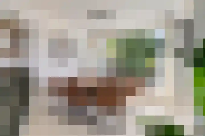 Reigerlaan 12 Bergschenhoek thumbnail 9