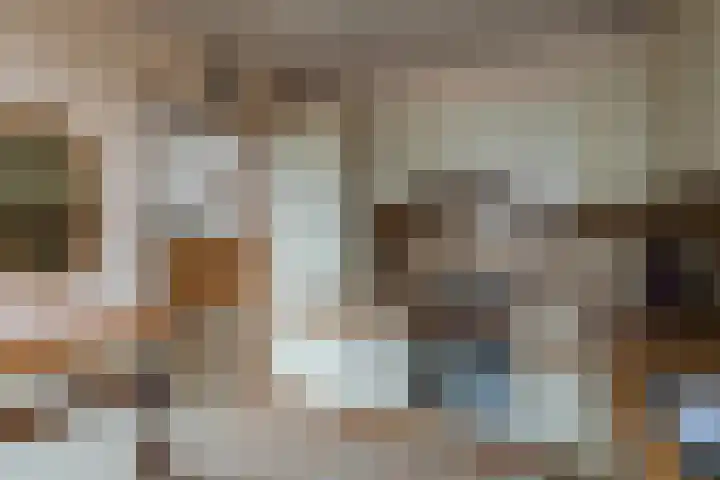 Reigerlaan 13 Sliedrecht thumbnail 10