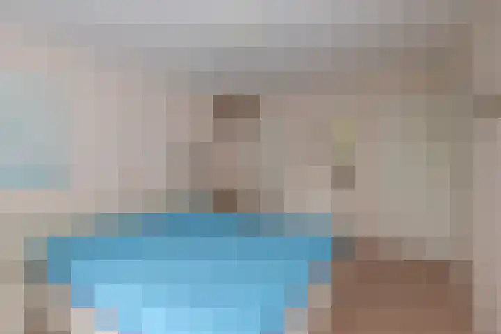 Reigerlaan 13 Sliedrecht thumbnail 12