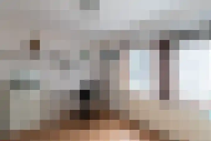 Reigerlaan 13 Sliedrecht thumbnail 13