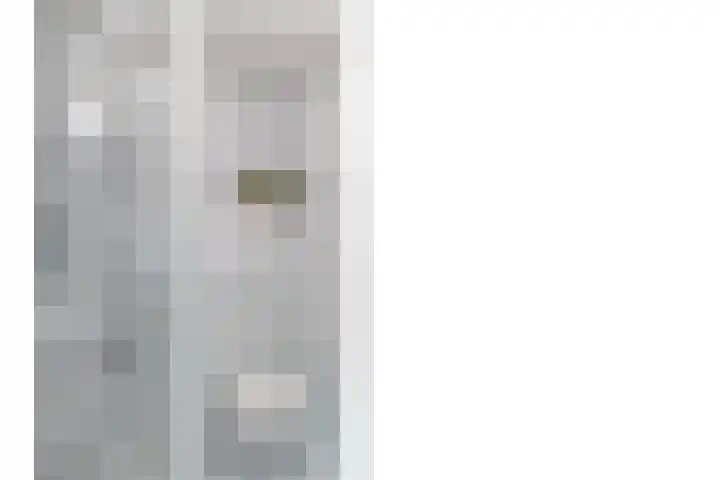Reigerlaan 13 Sliedrecht thumbnail 17