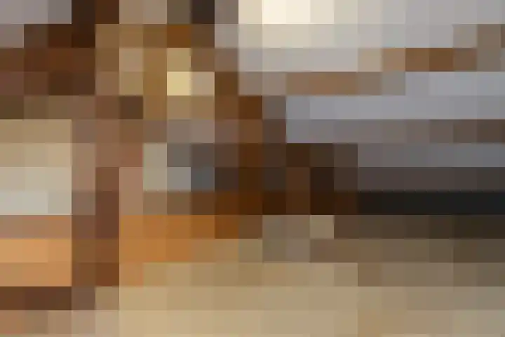 Reigerlaan 13 Sliedrecht thumbnail 18