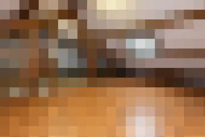 Reigerlaan 13 Sliedrecht thumbnail 19