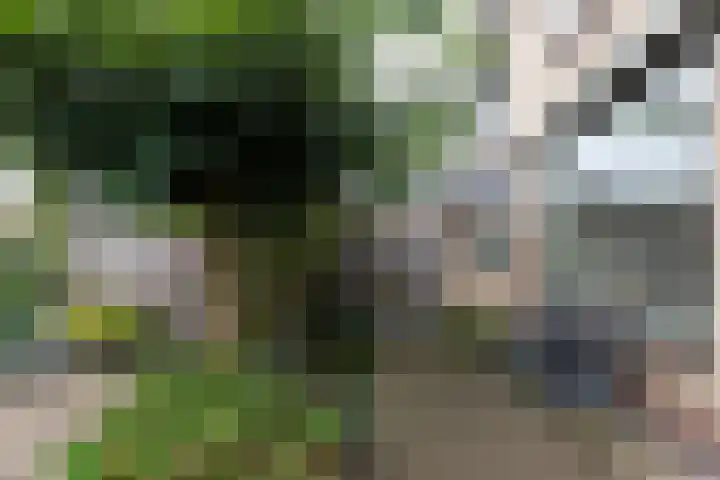 Reigerlaan 13 Sliedrecht thumbnail 20
