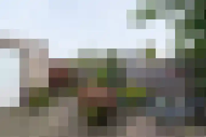 Reigerlaan 13 Sliedrecht thumbnail 21