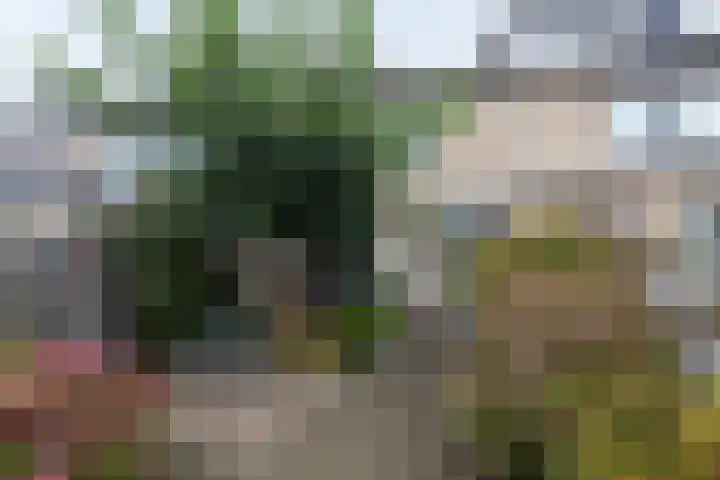Reigerlaan 13 Sliedrecht thumbnail 22