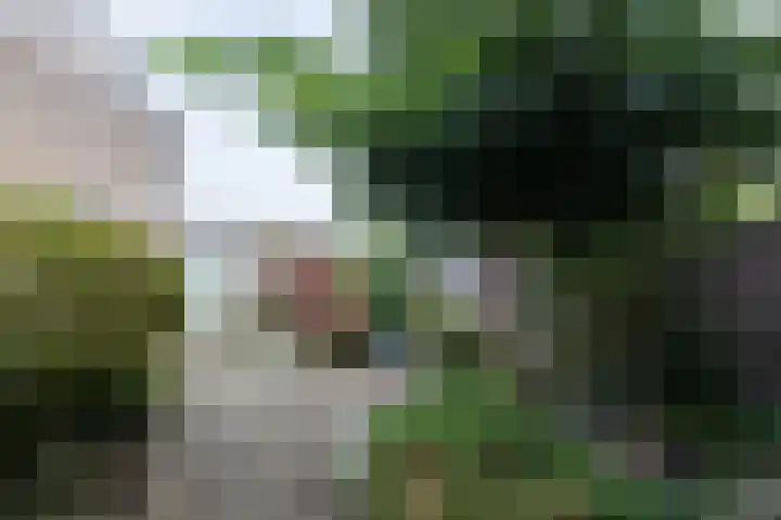 Reigerlaan 13 Sliedrecht thumbnail 4