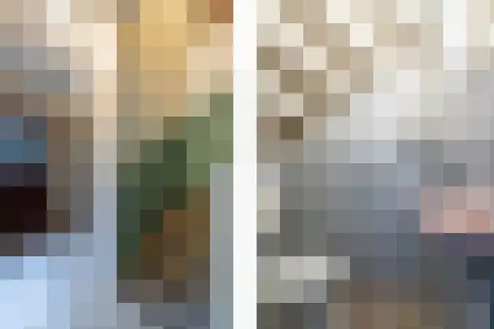 Reigerlaan 13 Sliedrecht thumbnail 6