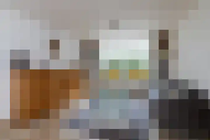 Reigerlaan 13 Sliedrecht thumbnail 7