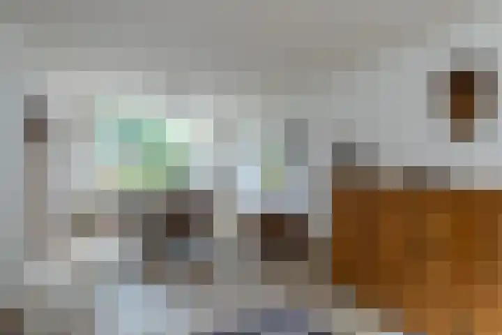 Reigerlaan 13 Sliedrecht thumbnail 8