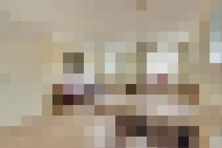 Reigerlaan 137 De Lier thumbnail 11