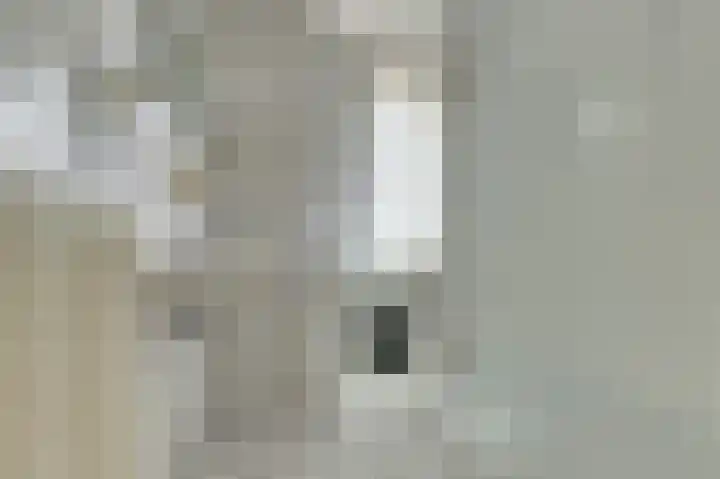 Reigerlaan 137 De Lier thumbnail 19