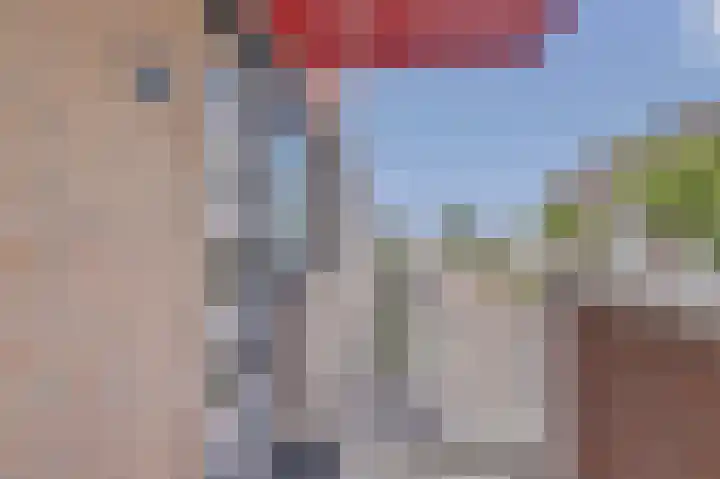 Reigerlaan 137 De Lier foto 3