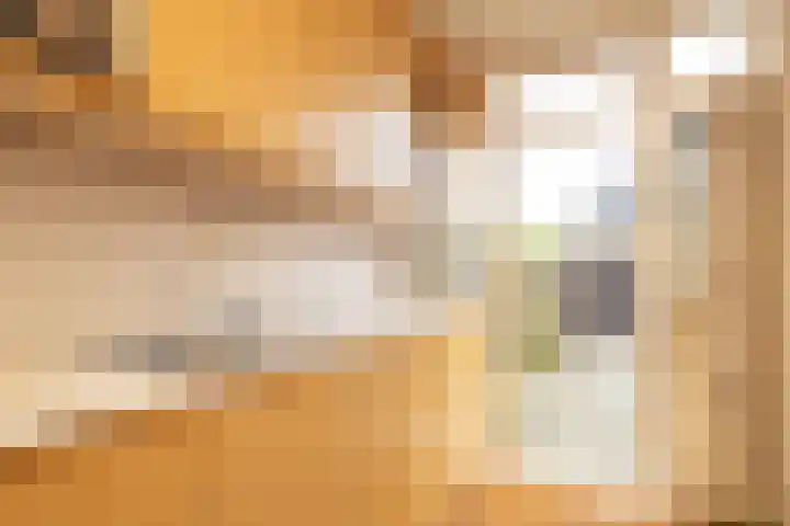Reigerlaan 16 Ouderkerk aan den IJssel thumbnail 17