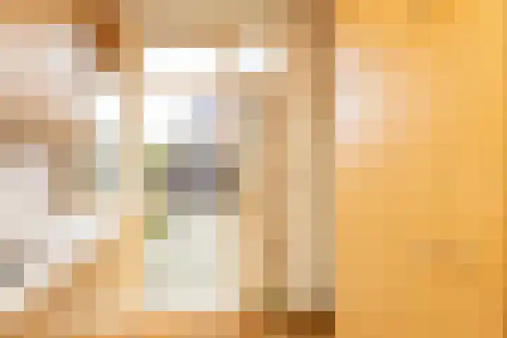 Reigerlaan 16 Ouderkerk aan den IJssel thumbnail 18