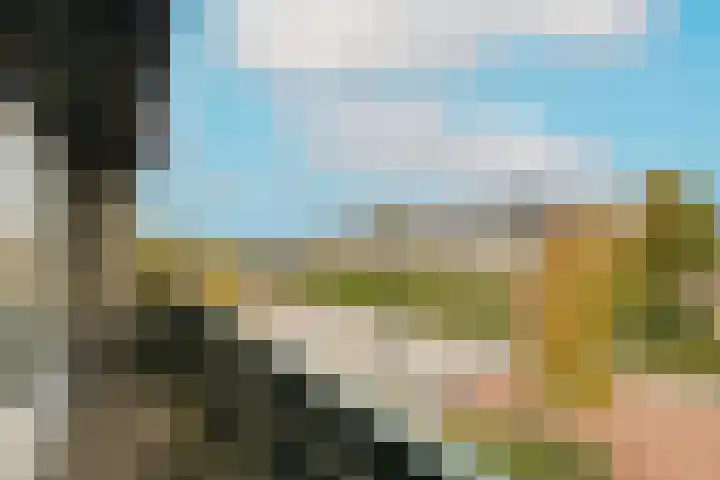 Reigerlaan 16 Ouderkerk aan den IJssel thumbnail 33