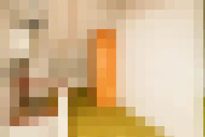 Reigerlaan 16 Ouderkerk aan den IJssel thumbnail 39