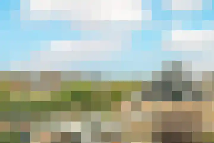 Reigerlaan 16 Ouderkerk aan den IJssel thumbnail 43