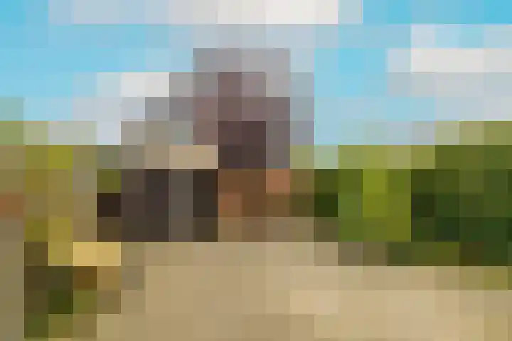Reigerlaan 16 Ouderkerk aan den IJssel thumbnail 44