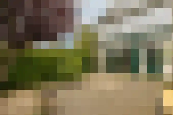 Reigerlaan 16 Ouderkerk aan den IJssel thumbnail 45
