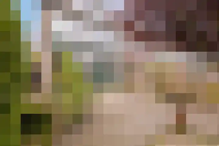 Reigerlaan 16 Ouderkerk aan den IJssel thumbnail 46