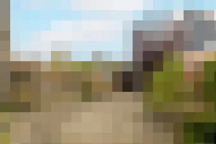 Reigerlaan 16 Ouderkerk aan den IJssel thumbnail 47