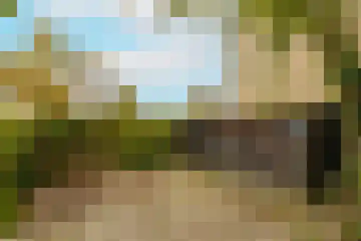 Reigerlaan 16 Ouderkerk aan den IJssel thumbnail 48