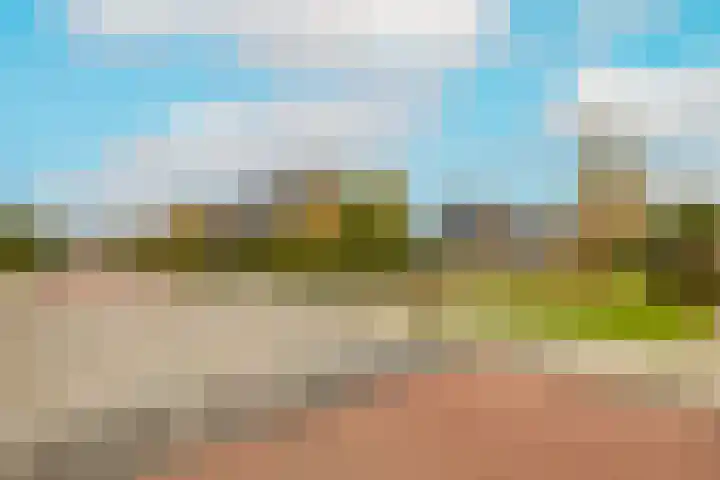 Reigerlaan 16 Ouderkerk aan den IJssel thumbnail 51