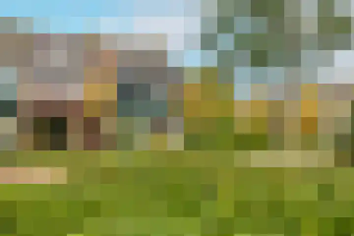 Reigerlaan 16 Ouderkerk aan den IJssel thumbnail 54