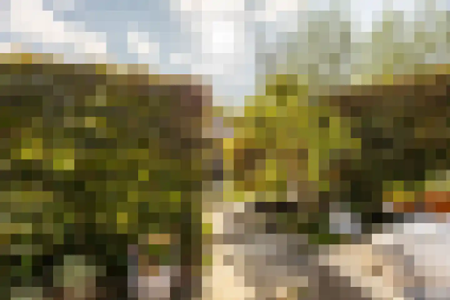 Reigerlaan 17 Heemstede thumbnail 34