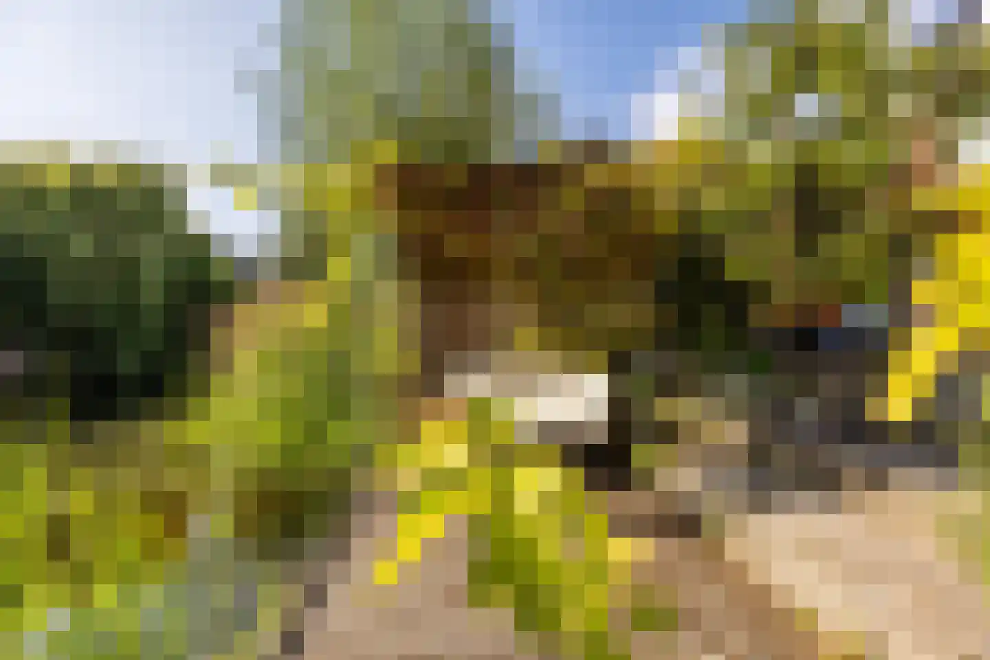 Reigerlaan 17 Heemstede thumbnail 35