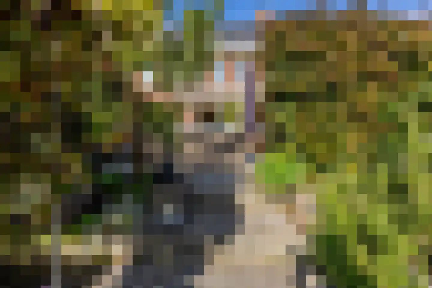 Reigerlaan 17 Heemstede thumbnail 36