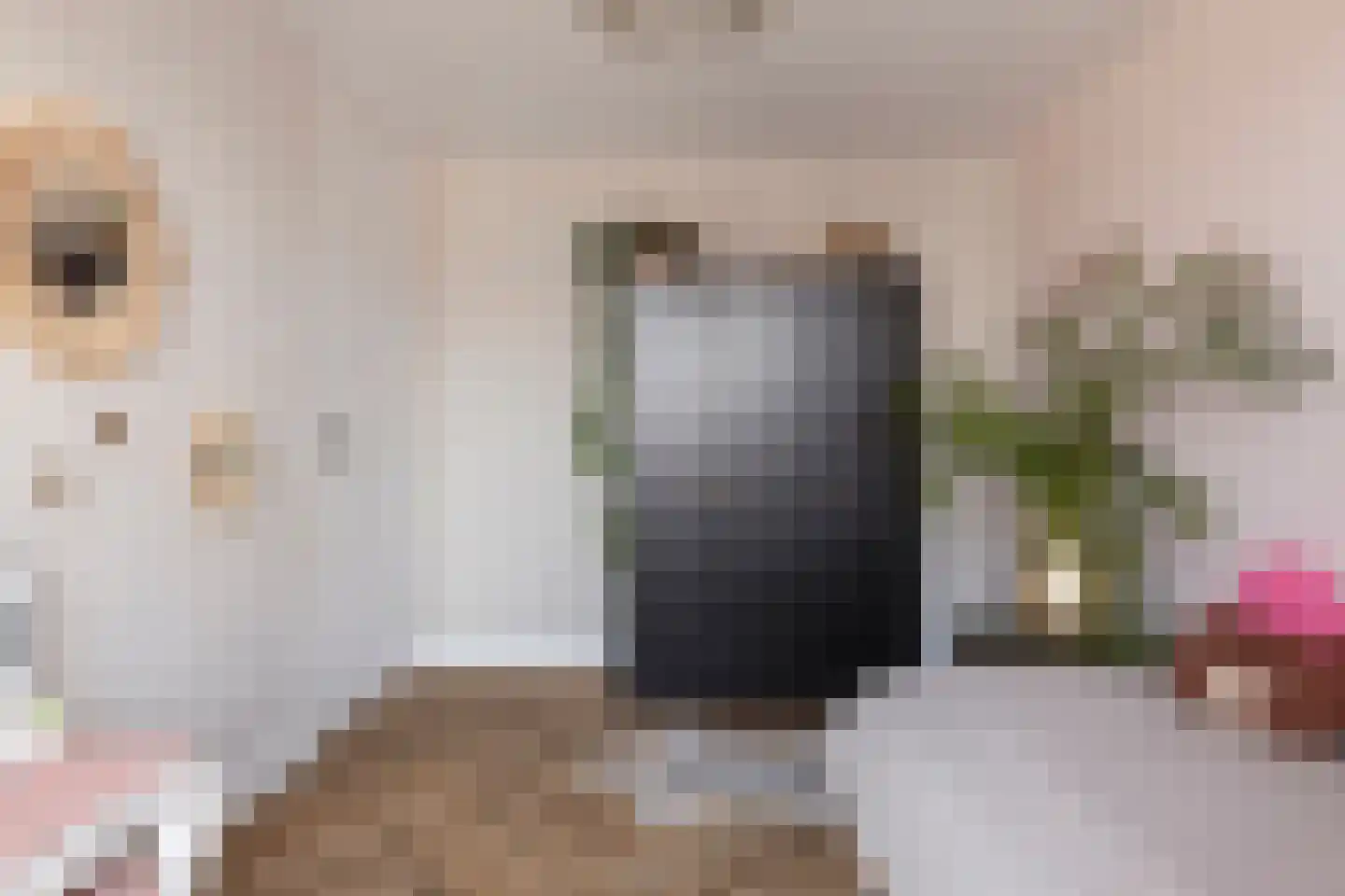 Reigerlaan 17 Ursem thumbnail 28
