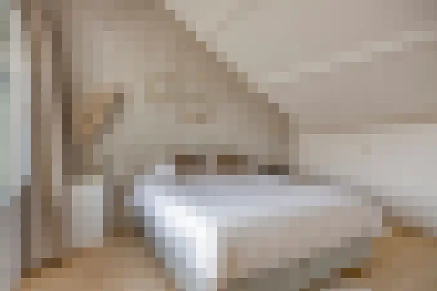 Reigerlaan 17 Ursem thumbnail 33